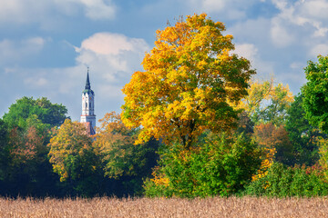 Autumn scenic with colorful leaves