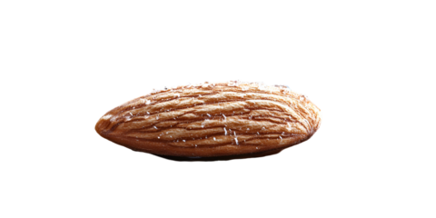 Light brown object isolated on transparent background