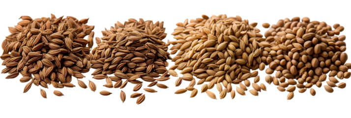 Light brown textured clusters on transparent background