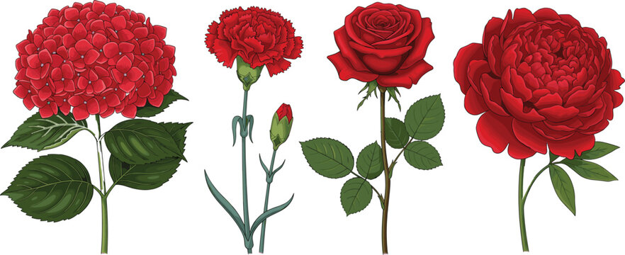 Realistic vector illustration of assorted red flowers, including hydrangea, carnation, rose, and peony, with detailed petals and leaves.