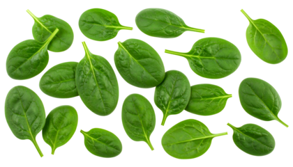 Overhead shot of numerous fresh, green leafy vegetables scattered on a stark black background