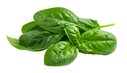 Close-up of vibrant, fresh green spinach leaves isolated on a transparent background