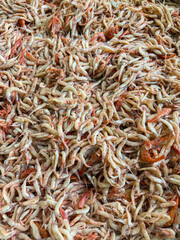Salted fermented shrimp at Korean market