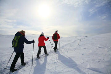Randonn&eacute;e raquettes sur le plateau de Font d'Urle enneig&eacute;. Massif du Vercors Sud - Dr&ocirc;me	