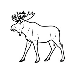 Simple Line Art of a Moose