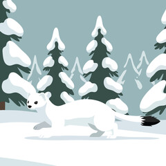 White Weasel in Snowy Forest