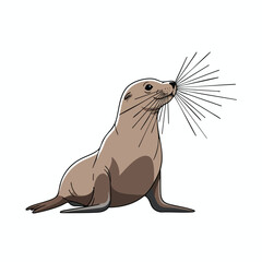 Sea Lion Sitting on White Background