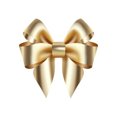 Light red silk bow with ribbon decoration for gift. bottomless