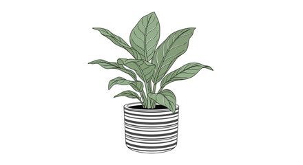 Minimalist line drawing of a lush green houseplant in a decorative black and white striped pot isolated on a white background.