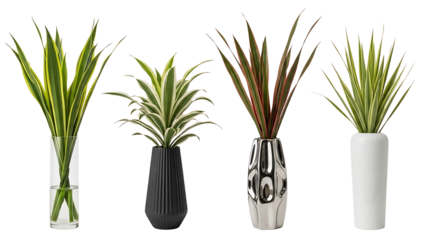 A diverse collection of four vibrant indoor plant varieties in unique decorative vases, ideal for stylish home and office interior design