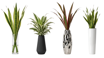 A beautiful collection of four distinct indoor plant arrangements in modern decorative vases for stylish home interior design