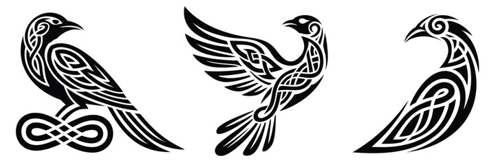 Obraz premium Celtic raven bird collection,