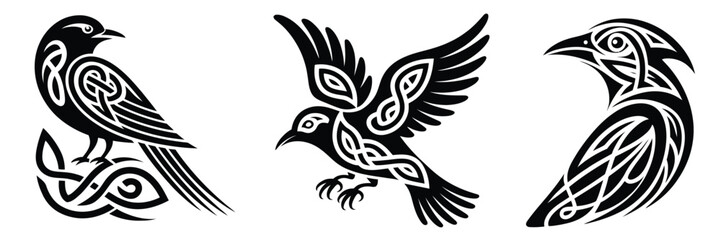 Obraz premium Black celtic raven bird vector set,