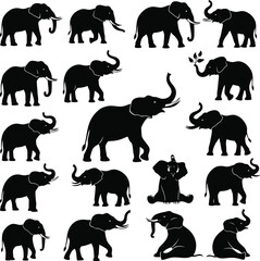 Elephant silhouette collection diverse poses and orientations on white