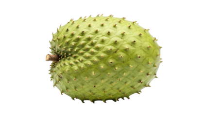 Green, spiky fruit with dark background, showing texture and detail