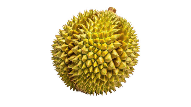 A spiky, yellow-green fruit isolated on a black background, centered