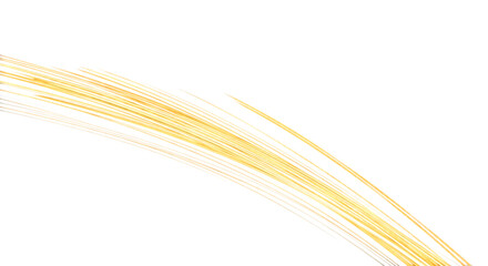 Elegant golden light streaks dance across a black background creating a modern, dynamic abstract perfect for technology or luxury branding projects