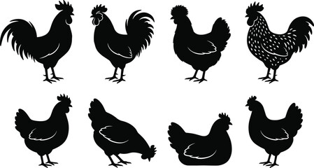 Farm Animals Silhouette Collection, Rooster and Hen Vector Set, Domestic Poultry Icons, Detailed Black Chickens, Agriculture Livestock Design Elements, Countryside Graphics, Food and Farming Symbols.