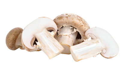 Close-up studio shot of sliced and whole button mushrooms against black background