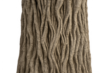 Mop head close-up showing absorbent fabric strands. Cleaning and hygiene concept from an isolated household tool