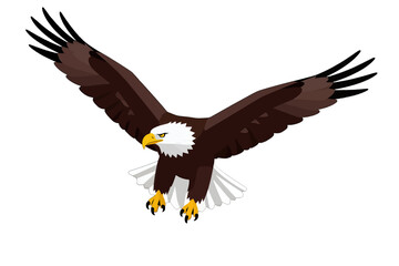 Fototapeta premium Bald Eagle in Flight Vector Illustration