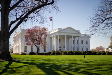 People enjoy the outdoors near the Whitehouse in Washington DC on a bright day with trees and green grass surrounding the area