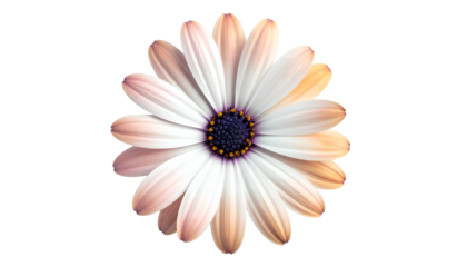 Close-up of a digitally rendered daisy with layered petals and a dark center