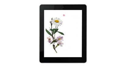 Fototapeta premium Tablet with floral arrangement on the screen against black background