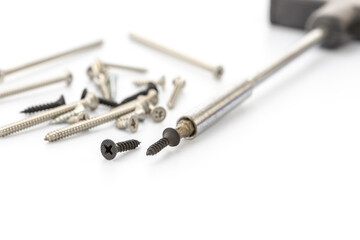 Close-up of assorted screws and a screwdriver bit on a white background