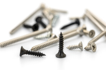 Variety of Screws on White Surface Showcasing Different Designs and Sizes