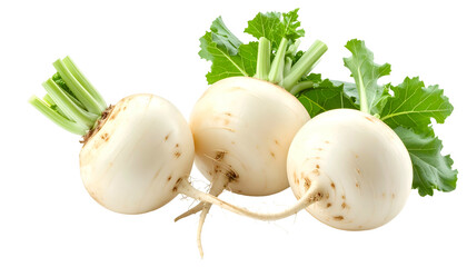 Three round, white root vegetables with green leafy tops, isolated on a black background
