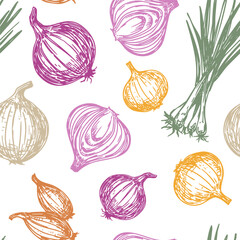Onion sketch, set of vector illustrations, on a transparent background, hand drawn