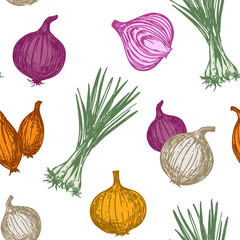 Onion sketch, set of vector illustrations, on a transparent background, hand drawn