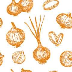 Onion sketch, set of vector illustrations, on a transparent background, hand drawn