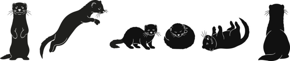 Collection of black ferret or mink silhouettes showing various actions like standing, jumping, resting, and playing on the back, isolated vector illustration graphic.