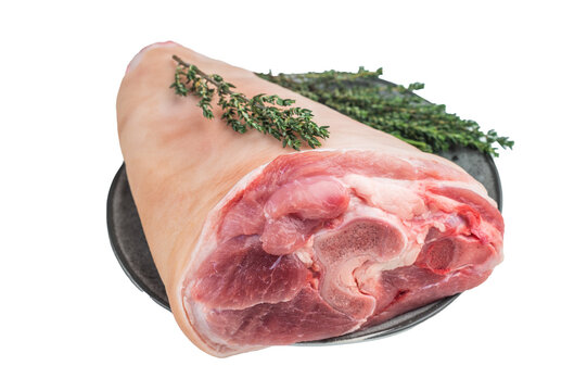 Uncooked pork shank hamhock showing skin texture fat layers and structural fibers arranged with fresh herbs for detailed technical food photography.