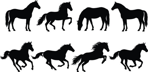 Fifteen Spider Silhouettes Vector Set, Halloween and Decorative Arachnid Icon Collection