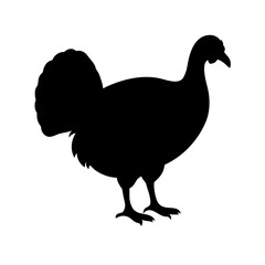 Wild turkey silhouette