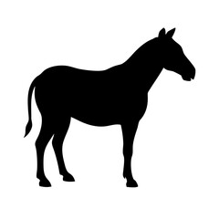 Plains zebra silhouette