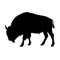 American bison Black silhouette