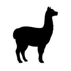 Naklejka premium Alpaca silhouette