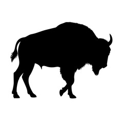 American bison silhouette