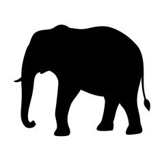 Fototapeta premium Silhouette of an elephant, isolated on a white background.