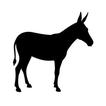 A black silhouette of a donkey standing peacefully
