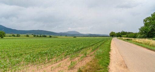 Idyllic Alsace scenery