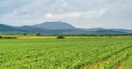 Idyllic Alsace scenery