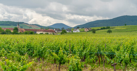 Idyllic Alsace scenery