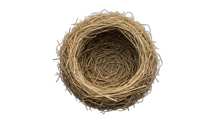Empty Bird Nest Isolated on White Background