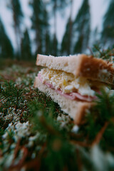 sandwich in the forest