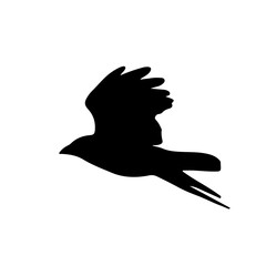 Silhouette of a bird in flight isolated on white background, perfect for concepts of freedom, nature, wildlife, minimal design, logo inspiration, migration, independence and calm.